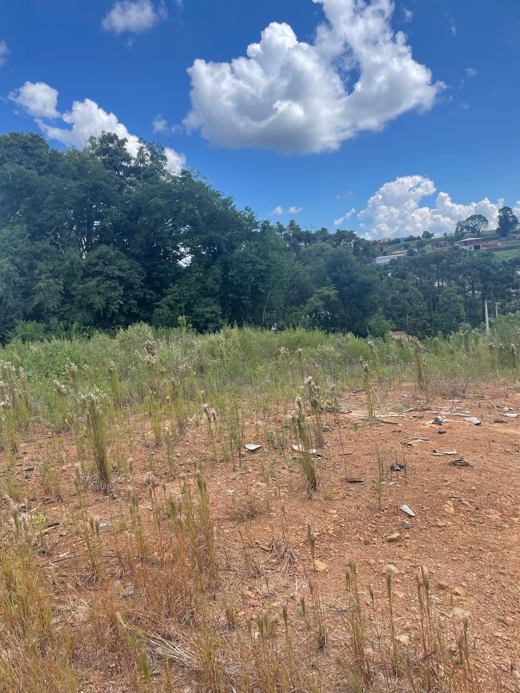 Foto 4 de 4: Terreno em leilão em Sananduva - RS — IMÓVEL COM ÁREA TOTAL DE 1.182,40m2, EM SANANDUVA-RS