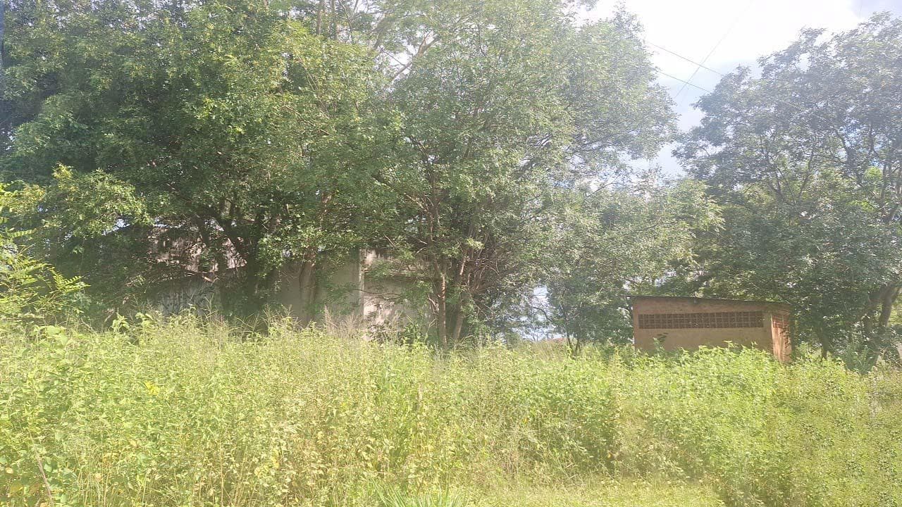 Foto 2 de 2: Terreno em leilão em Icém - SP — Terreno 3.622m² | Icém/SP | Estrada Boiadeira |