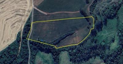Foto 6 de 10: Area Rural em leilão em Nova Prata Do Iguaçu - PR — IMÓVEL RURAL COM ÁREA TOTAL DE 20.000,00 M2 EM NOVA PRATA DO IGUAÇU-PR