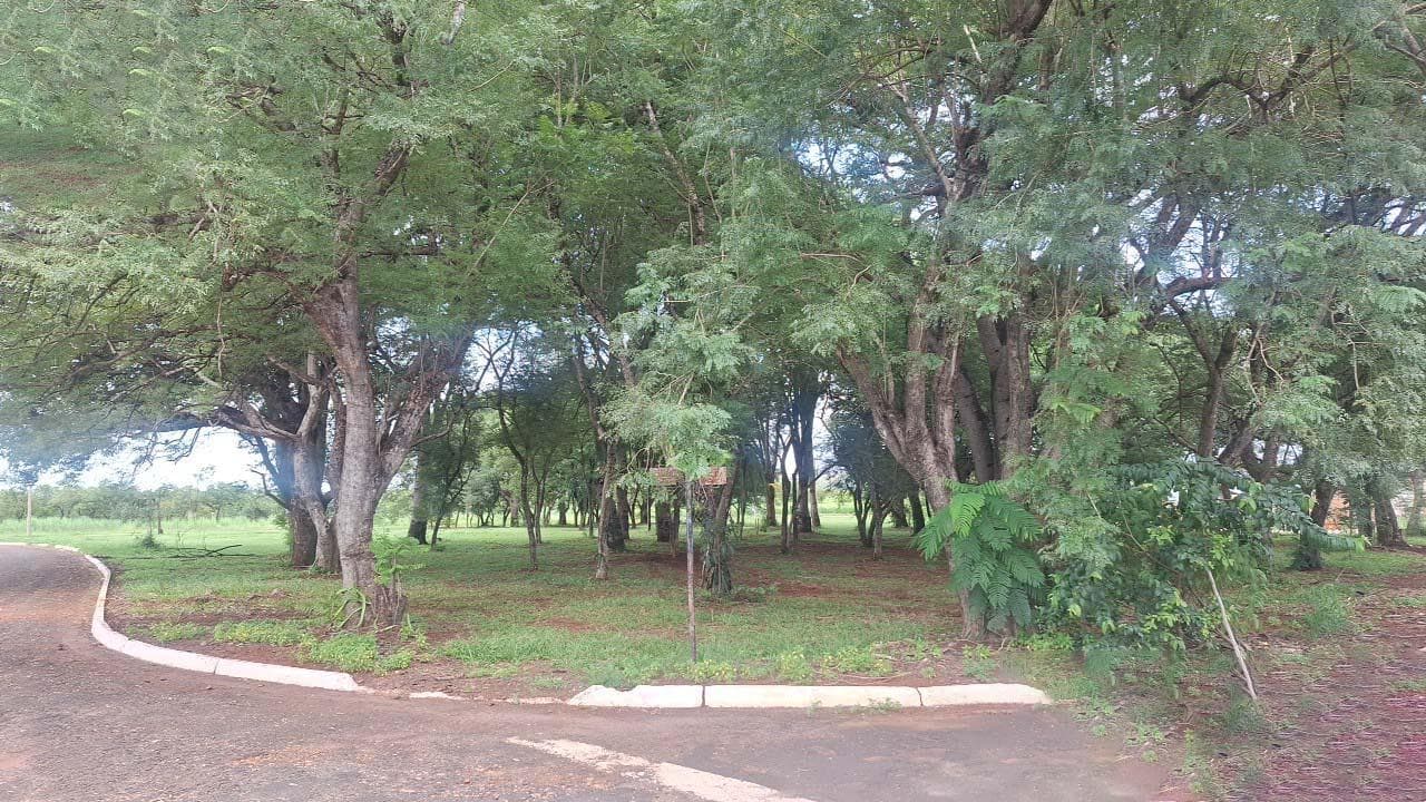 Foto 2 de 2: Terreno em leilão em Planura - MG, bairro Vila Residencial — Terreno 986,32m² na Vila Residencial de Planura/MG | Ideal para Rancho de Lazer ou Investimento em Turismo!