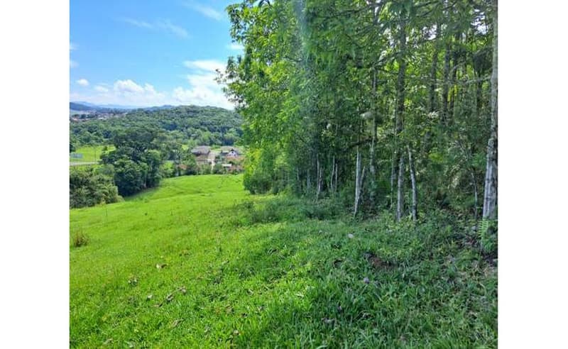 Foto 19 de 27: Terreno em leilão em Blumenau - SC — Imóvel urbano com área total de 35.820,27 m² em Blumenau/SC
