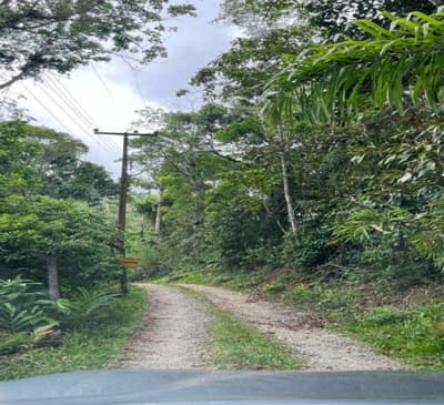 Terreno em leilão em Matinhos - PR — Terreno Urbano, A.T. 600m², Lote 14 - Qd 131, Balneário Caiobá