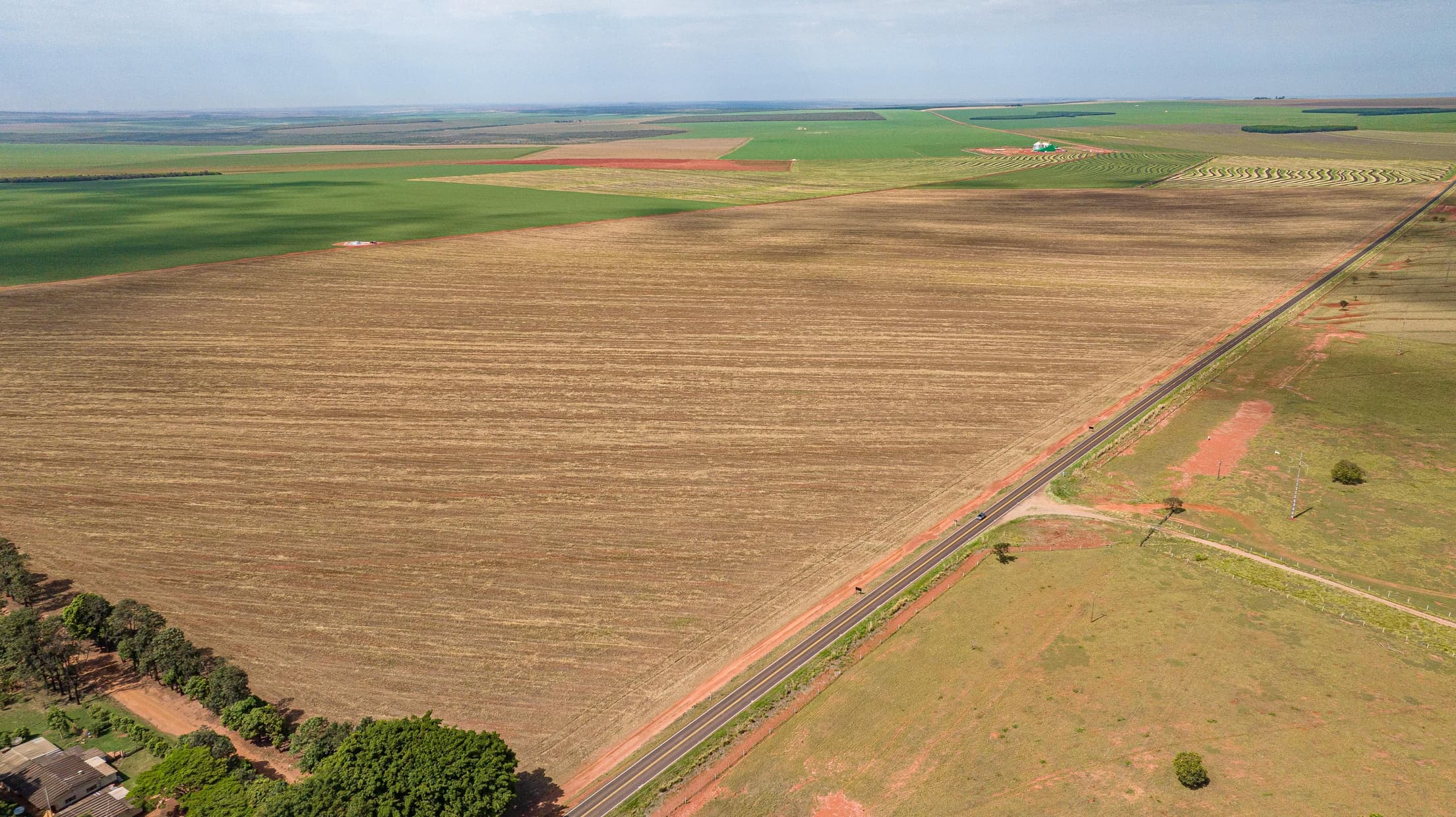 Foto 28 de 30: Area Rural em leilão em Paraíso Das Águas - MS — IMÓVEL RURAL | 400 HA (FRAÇÃO IDEAL) - FAZ. LOTE BAÚS PERDIDO I SECÇÃO B | PLANTIO PARA SOJA E MILHO | PARAÍSO DAS ÁGUAS/MS