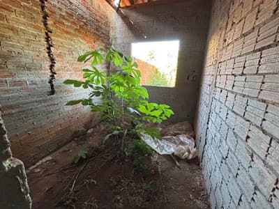 Foto 5 de 16: Terreno em leilão em Perobal - PR — DIREITOS AQUISITIVOS SOBRE Lote n° 21, Quadra n° 5, do Loteamento JARDIM DAS ARAUCÁRIAS, localizado no Município de PEROBAL, da Comarca de Umuarama/PR, com a área de 240,00m² CONTENDO CONSTRUÇÃO INACABADA