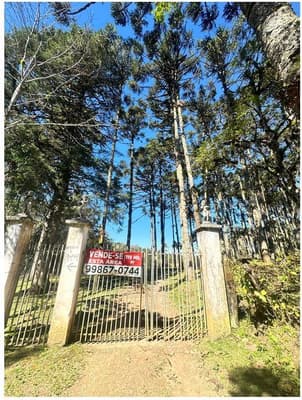 Foto 25 de 35: Area Rural em leilão em São José Dos Pinhais - PR — Sitio com área total de 120.974,16m², localizado Borda do Campo em São José dos Pinhais/PR