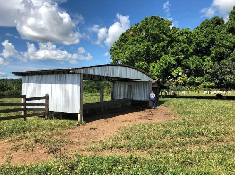 Foto 10 de 10: Area Rural em leilão em Colorado Do Oeste - RO — IMÓVEL RURAL | GLEBA 34 | 45,7370HA - COLORADO DO OESTE/RO