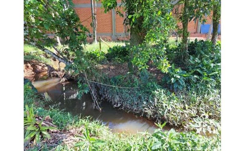 Foto 14 de 64: Terreno em leilão em Blumenau - SC — Um imóvel com área total de 102.114,74m² em Blumenau/SC