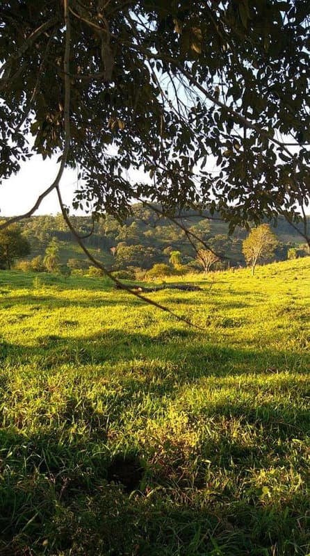 Foto 5 de 6: Area Rural em leilão em Quedas Do Iguaçu - PR — Imóvel rural com área de 29,3293HA, Quedas do Iguaçu/PR