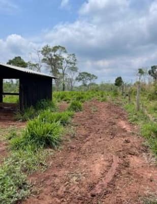 Foto 6 de 6: Area Rural em leilão em Alta Floresta D'oeste - RO — IMÓVEL RURAL| A.T. 12,10 HA SÍTIO STO. ANTÔNIO SETOR RIO BRANCO | ALTA FLORESTA DOESTE/RO