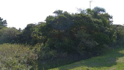 Terreno em leilão em Ilha Comprida - SP, bairro Balneário Guarapuava — Lote 250m² na Ilha Comprida/SP