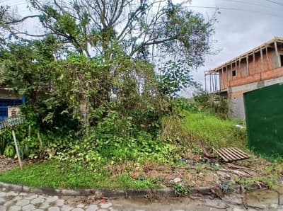 Foto 1 de 2: Terreno em leilão em São Francisco Do Sul - SC, bairro Ubatuba — Terreno Loteamento Marajoara, A.T. 364,50, São Francisco do Sul/SC