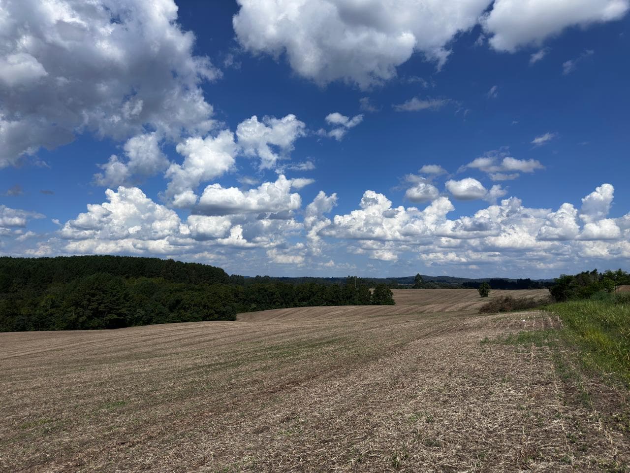 Foto 2 de 3: Terreno em leilão em Canoinhas - SC — Terreno rural com área de 159.075m², situado no lugar denominado Palmito Piedade, no municipio e comarca de Canoinhas/SC.
