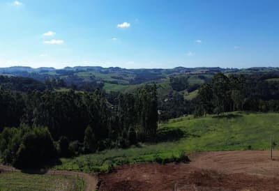 Foto 2 de 6: Area Rural em leilão em Mato Rico - PR — IMÓVEL RURAL COM ÁREA DE 2,7510 hectares EM MATO RICO-PR