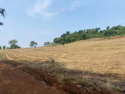 Foto 3 de 10: Area Rural em leilão em Nova Prata Do Iguaçu - PR — IMÓVEL RURAL COM ÁREA DE 121.000 m2- Em NOVA PRATA DO IGUAÇU