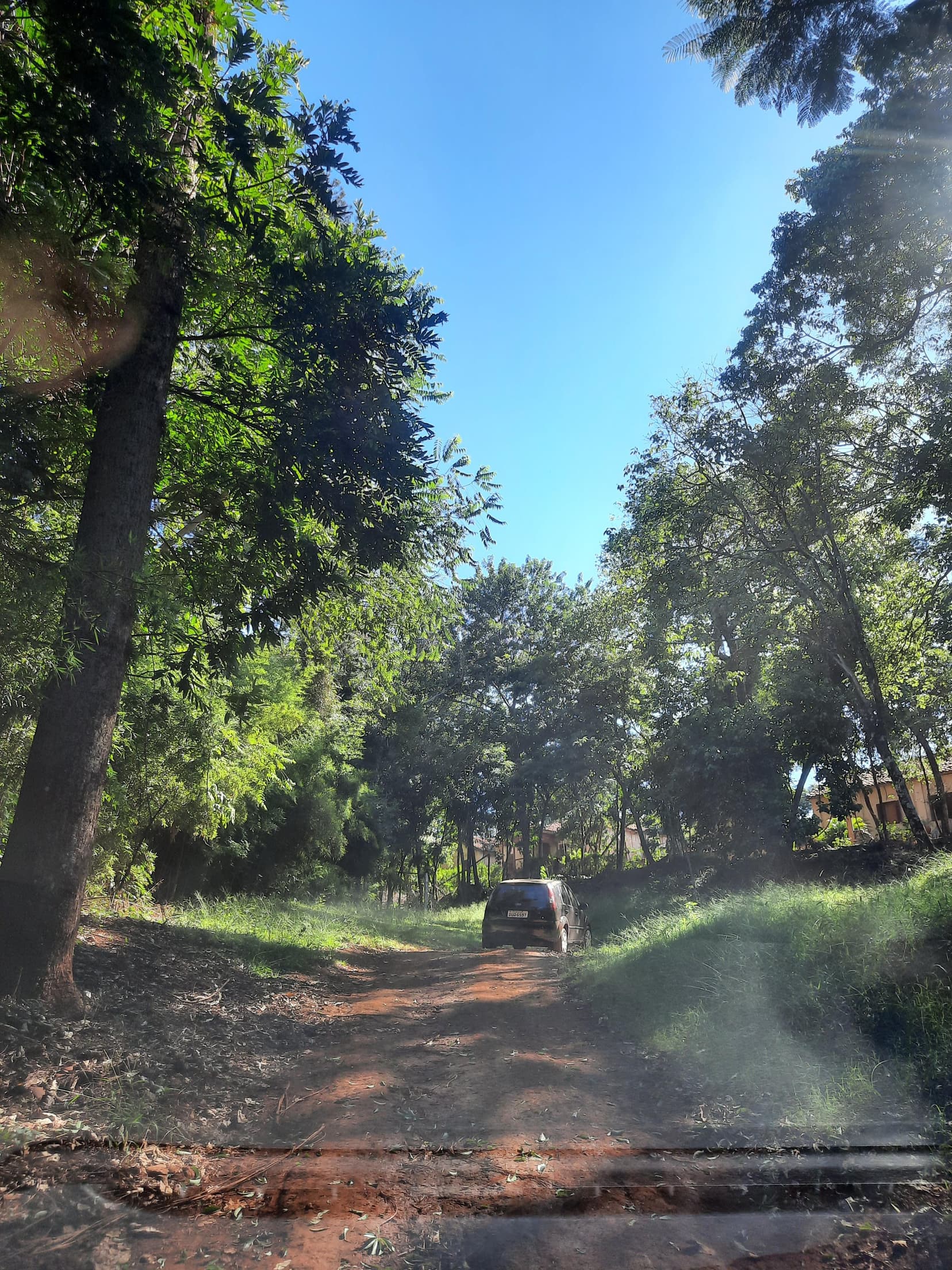 Foto 15 de 169: Area Rural em leilão em Cravinhos - SP — Gleba, 2ha, Sítio São Sebastião, Cravinhos/SP