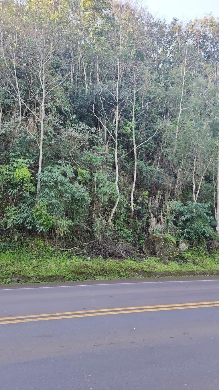 Foto 8 de 10: Terreno em leilão em Mondaí - SC — LOTE URBANO Nº 06 LOCALIZADO NA AVENIDA LAJU NO MUNICÍPIO DE MONDAÍ/SC - ÁREA DE 2.000M²