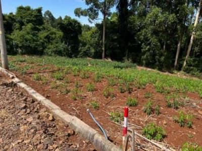Foto 5 de 5: Imóvel em leilão em Constantina - RS, bairro Loteamento Belo Horizonte — IMÓVEL URBANO COM ÁREA TOTAL DE 921,88m2 EM CONSTANTINA-RS