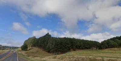 Area Rural em leilão em São Cristóvão Do Sul - SC — Fazendas Reflorestamento