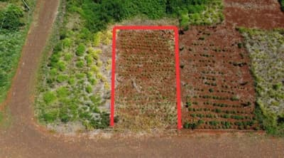 Foto 1 de 2: Terreno em leilão em São Jorge D'oeste - PR — TERRENO URBANO SEM BENFEITORIAS COM ÁREA DE 240,00m2 - SÃO JORGE DO OESTE/PR