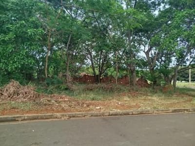 Foto 1 de 2: Terreno em leilão em Paulicéia - SP — Terreno urbano 297 m²