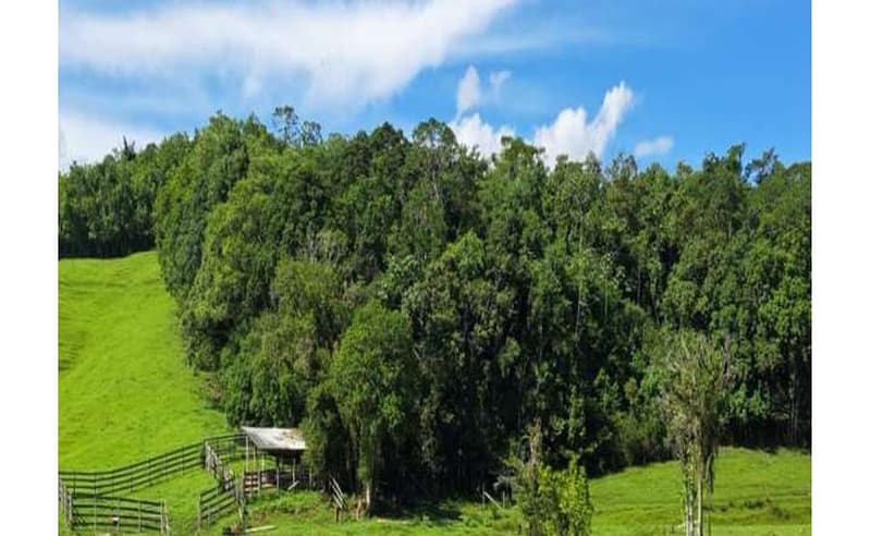 Foto 20 de 27: Terreno em leilão em Blumenau - SC — Imóvel urbano com área total de 35.820,27 m² em Blumenau/SC