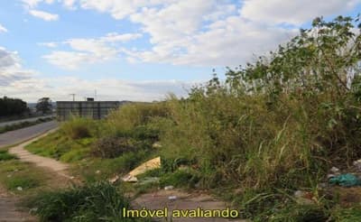 Foto 1 de 10: Area Rural em leilão em Itatiba - SP, bairro Bela Vista — Gleba de Terras Área C-3 Remanescente Bairro Bela Vista Itatiba/SP, com área total de 16.144,00 m².
