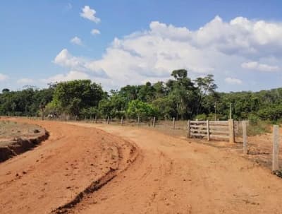 Foto 4 de 13: Area Rural em leilão em Porto Dos Gaúchos - MT — Imóvel Rural com área de 53 hectares - Porto dos Gaúchos/MT