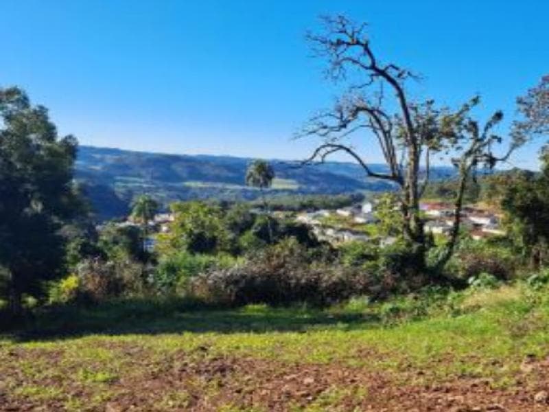 Foto 3 de 8: Terreno em leilão em Cordilheira Alta - SC, bairro Interior — Lote, 300.0 m2, Cordilheira Alta / SC