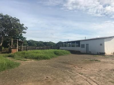 Foto 10 de 14: Comercial em leilão em Posse - GO — IMÓVEIS RESIDENCIAL, COMERCIAL E RURAL | POSSE/GO