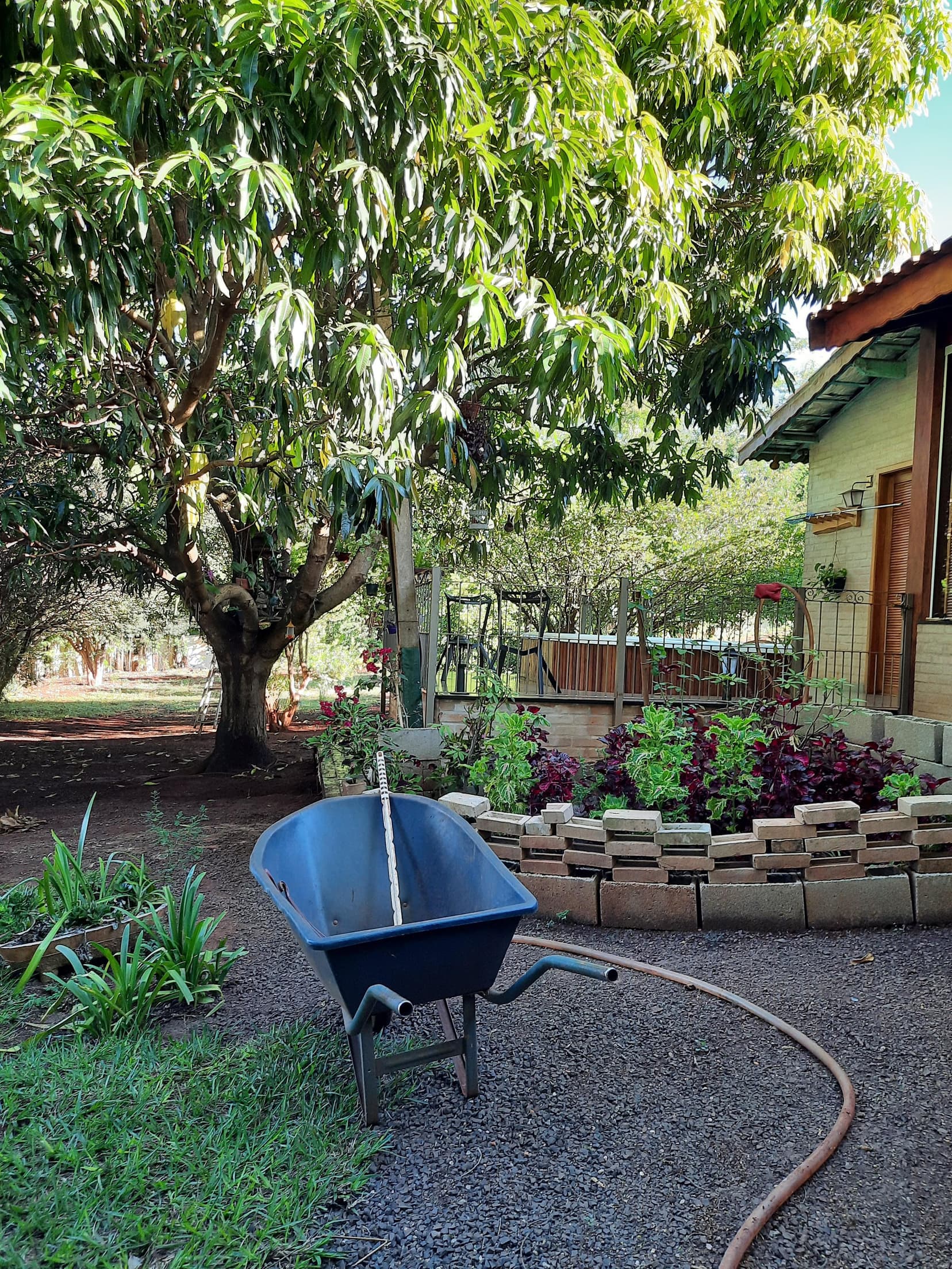 Foto 131 de 169: Area Rural em leilão em Cravinhos - SP — Gleba, 2ha, Sítio São Sebastião, Cravinhos/SP