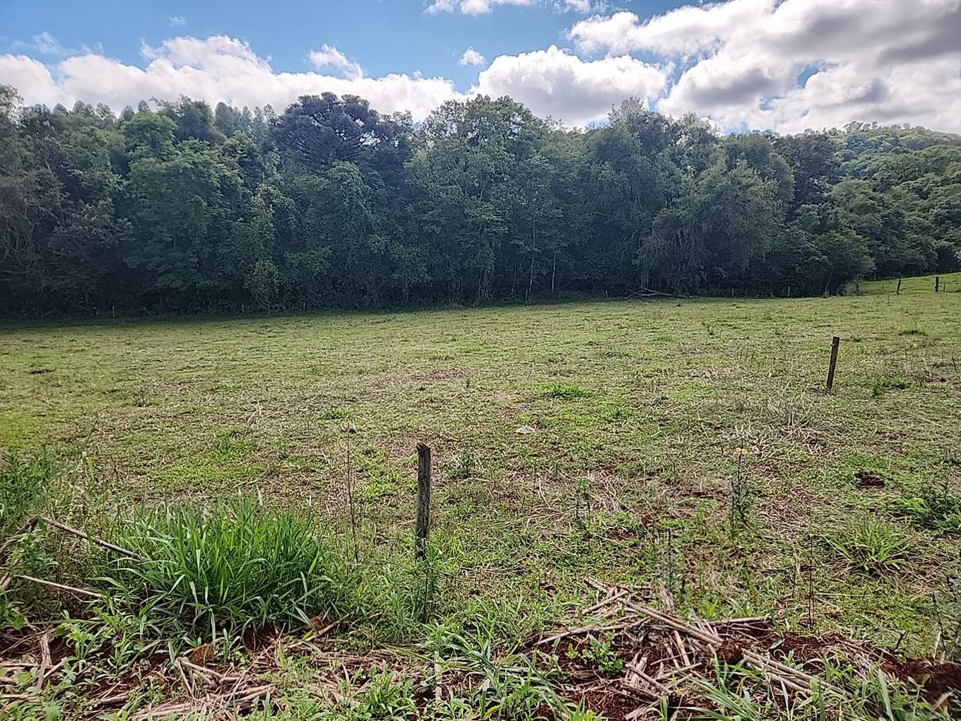 Foto 4 de 4: Terreno em leilão em Dois Vizinhos - PR — LOTE URBANO Nº 01 DA QUADRA Nº 06 LOCALIZADO NO LOTEAMENTO VALE DO COUNTRY EM DOIS VIZINHOS/PR - ÁREA DE 2.850,00M²
