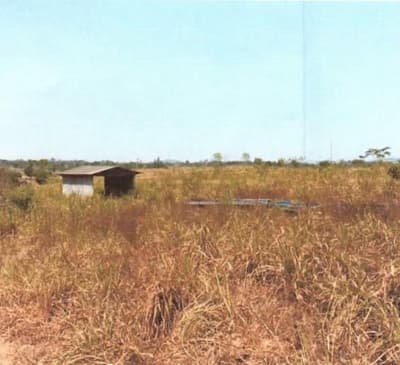 Foto 3 de 5: Area Rural em leilão em São Miguel Do Guaporé - RO — IMÓVEL RURAL PARA AGRICULTURA AT. 24,7549HA, SÍTIO ESPERANÇA EM SÃO MIGUEL DO GUAPORÉ-RO