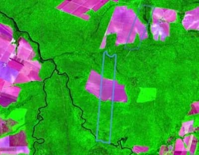 Foto 1 de 3: Terreno em leilão em Nova Maringá - MT — Terreno Rural 1.550 ha, Nova Maringá/MT - Ocupado