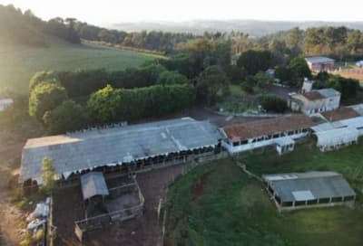 Foto 7 de 20: Area Rural em leilão em Campo Bonito - PR, bairro Zona Rural — IMÓVEL RURAL COM ÁREA TOTAL DE 19.73 ha- Em CAMPO BONITO/PR