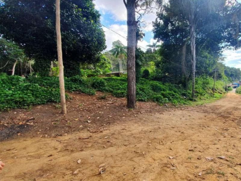 Foto 7 de 11: Terreno em leilão em Juiz De Fora - MG, bairro Volta Grande — Lote, 52382.93 m2, Juiz de Fora / MG