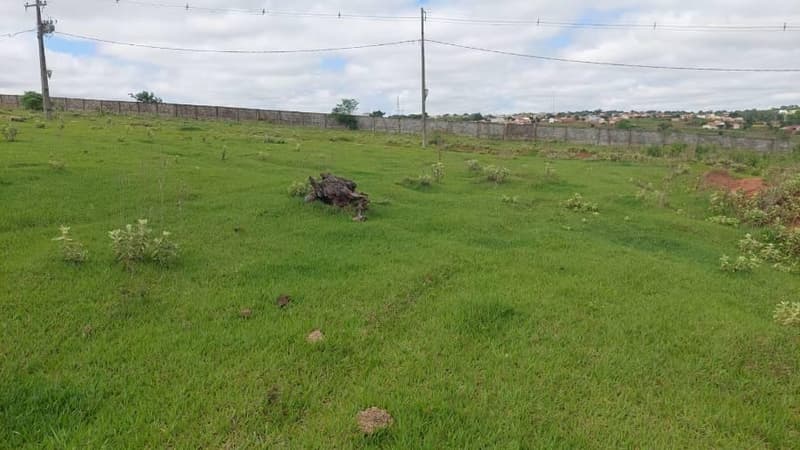 Foto 4 de 4: Terreno em leilão em Pérola - PR — Lote 775m² | DESOCUPADO | Pérola-PR | Pérola - Amplo Terreno com Excelente Topografia - Pagamento Somente à Vista!
