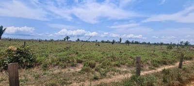 Foto 2 de 3: Area Rural em leilão em Colniza - MT — FAZENDA DE 400 Ha | Colniza/MT