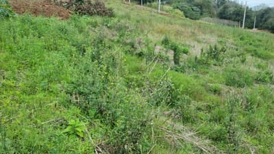 Foto 2 de 4: Terreno em leilão em Saudades - SC — LOTE URBANO Nº 06 DA QUADRA Nº 122, LOCALIZADO EM SAUDADES/SC ÁREA DE 480,31M²