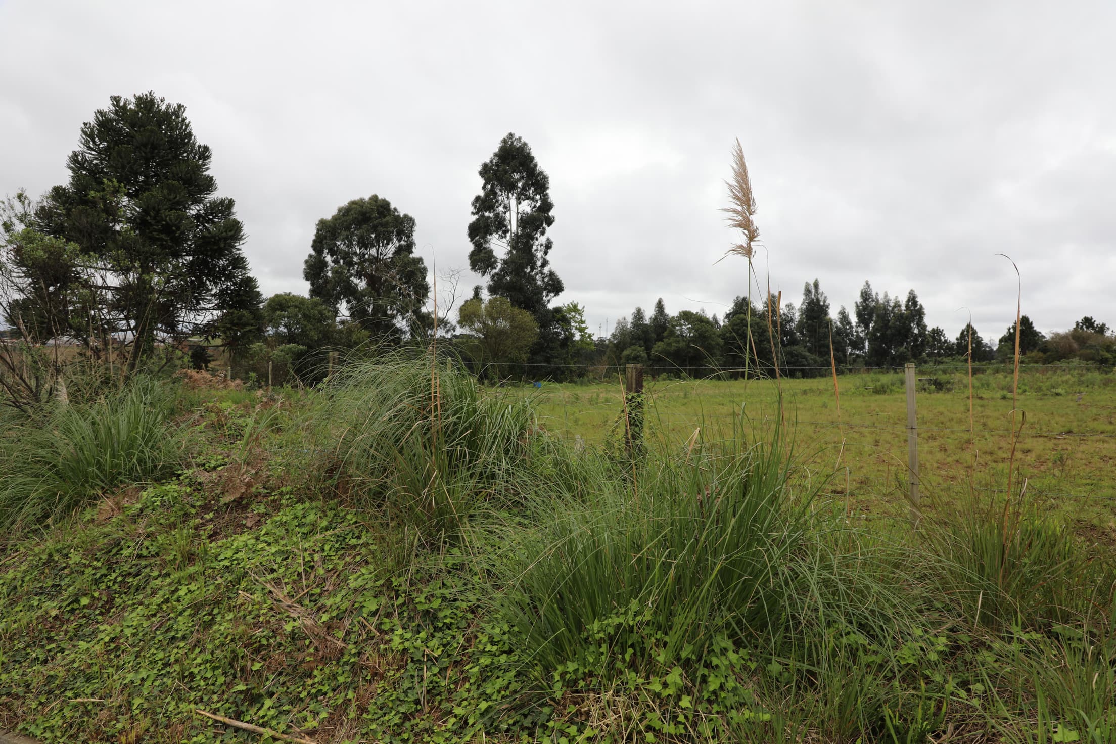 Foto 8 de 17: Terreno em leilão em Curitibanos - SC — IMÓVEL LOCALIZADO NA RUA ROMUALDO SCUR, ÁREA INDUSTRIAL RENATO FARIAS, MUNICÍPIO DE CURITIBANOS-SC COM A ÁREA DE 10.043,92M²