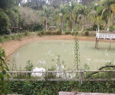 Foto 7 de 26: Area Rural em leilão em São João Do Triunfo - PR — IMÓVEL RURAL COM EXTENSÃO URBANA - ÁREA TOTAL DE 60.726,43 m²-AVENIDA DAS ARAUCÁRIAS-LADEIRA- SÃO JOÃO DO TRIUNFO-PR