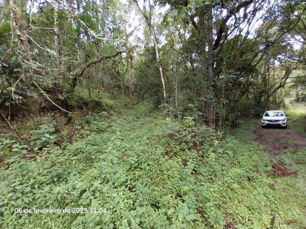 Foto 16 de 18: Area Rural em leilão em Lapa - PR — Terreno rural com a área de 2,0227ha, Lapa/PR