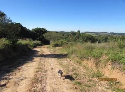 Foto 33 de 41: Area Rural em leilão em Cássia Dos Coqueiros - SP — IMOVEL - RURAL - SITIO com 16 hectares - ESTRUTURA COMPLETA - Perto do Asfalto na cidade de CÁSSIA DOS COQUEIROS