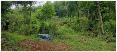 Foto 6 de 8: Area Rural em leilão em Francisco Beltrão - PR — Terreno rural com área de 30.000,00m², Localizado na Linha Água Vermelha, Zona Rural do Município de Francisco Beltrão-PR. Sem benfeitorias.