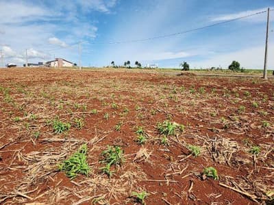 Foto 6 de 7: Terreno em leilão em Vista Gaúcha - RS, bairro Centro — LOTE URBANO Nº 18 DA QUADRA 48, COM A ÁREA SUPERFICIAL DE 338M² SITUADO NA CIDADE DE VISTA GAÚCHA/RS