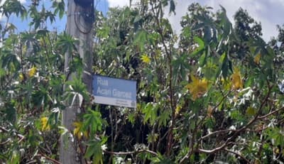Foto 8 de 31: Casa em leilão em São Leopoldo - RS, bairro Campestre — 65.0 m2, SÃO LEOPOLDO / RS