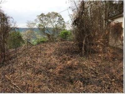 Foto 3 de 6: Terreno em leilão em Taió - SC — TERRENO RURAL com área total de 675,00 m²