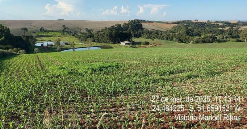 Foto 24 de 24: Area Rural em leilão em Manoel Ribas - PR, bairro Bairro dos Gallos — IMÓVEL RURAL COM ÁREA TOTAL DE 78.163,60 m2- Em MANOEL RIBAS/PR