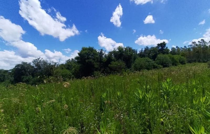 Foto 5 de 10: Area Rural em leilão em São José Do Inhacorá - RS — IMÓVEL RURAL COM ÁREA DE 20.000,00 M2² - EM SÃO JOSÉ DO INHACORÁ/RS