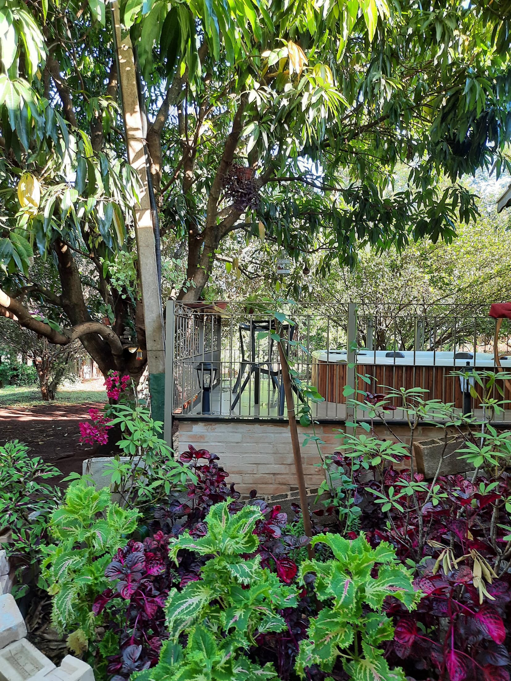 Foto 168 de 169: Area Rural em leilão em Cravinhos - SP — Gleba, 2ha, Sítio São Sebastião, Cravinhos/SP