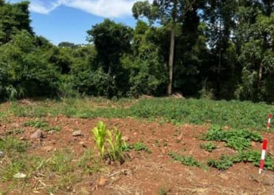Foto 3 de 6: Imóvel em leilão em Constantina - RS, bairro Loteamento Belohorizonte — IMÓVEL URBANO COM ÁREA TOTAL DE 1.579,13m2 EM CONSTANTINA-RS